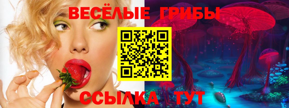 Псилоцибиновые грибы ЛСД Нефтекумск